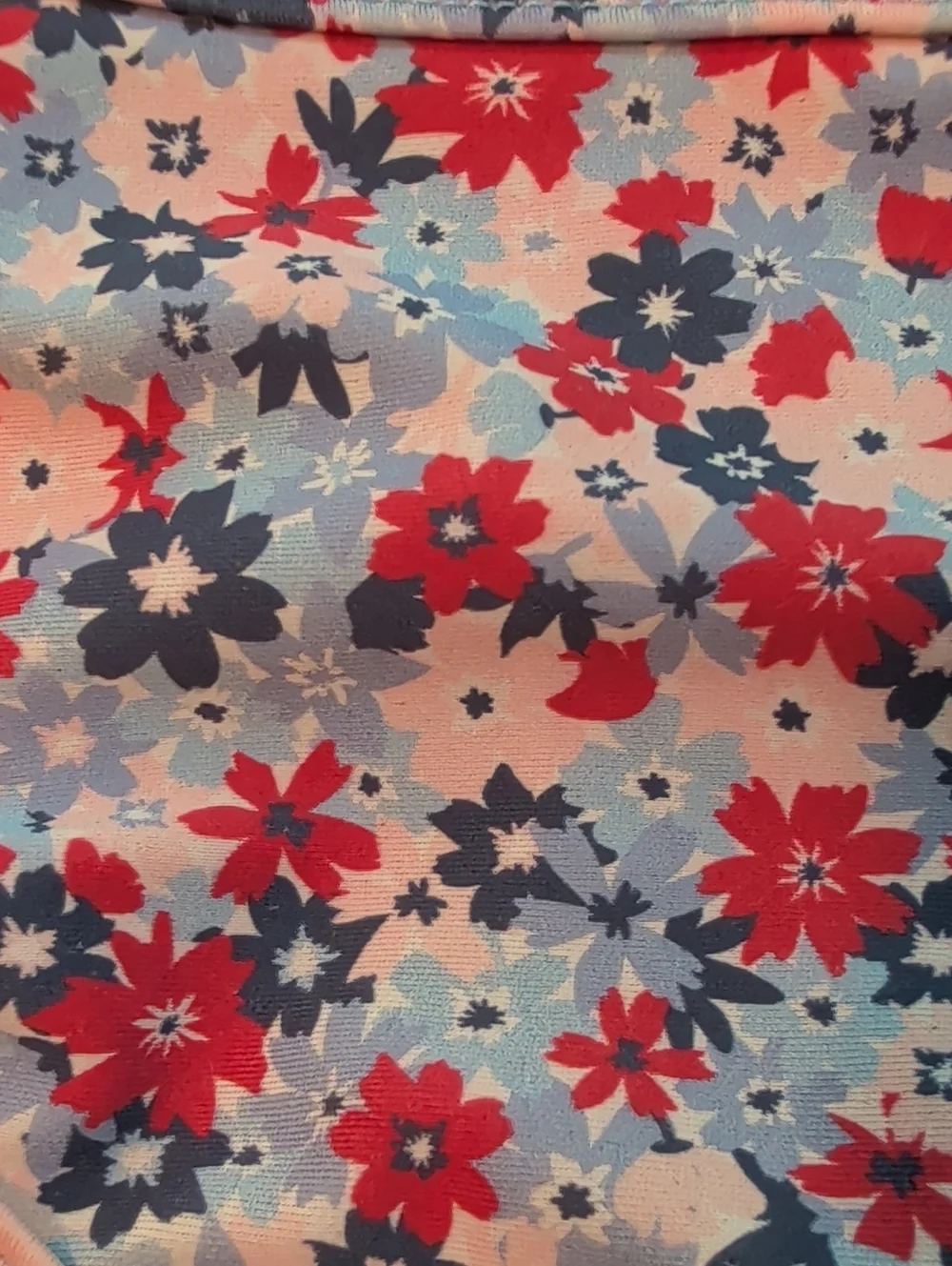 Red White And Bloom Ruffle Butts Swim